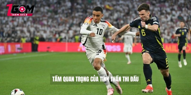 Bảng Xếp Hạng Bóng Đá Bundesliga Bất Ngờ Không Thể Bỏ Lỡ 5 Tầm quan trọng của tinh thần thi đấu